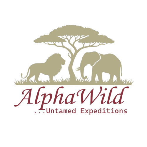 alpha.alphawildexpeditions.com
